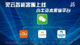 �@ϲ���`�����ܿͷ���Сţ�Y��΢��ƽ�_�Ͼ���