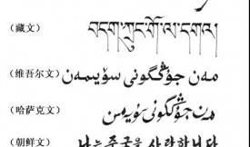 �S�h�����ɹ�������ͨ�A���ٔ�(sh��)������켈�|(zh��)�ļ���ӻ�����